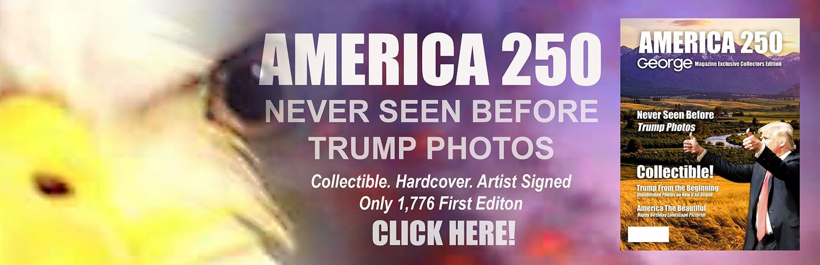 newslide 5